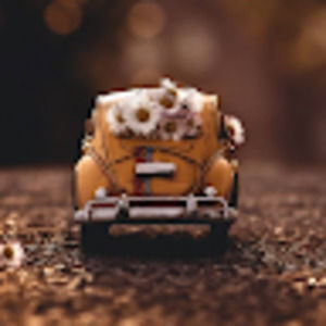 Meet your Posher, Kate